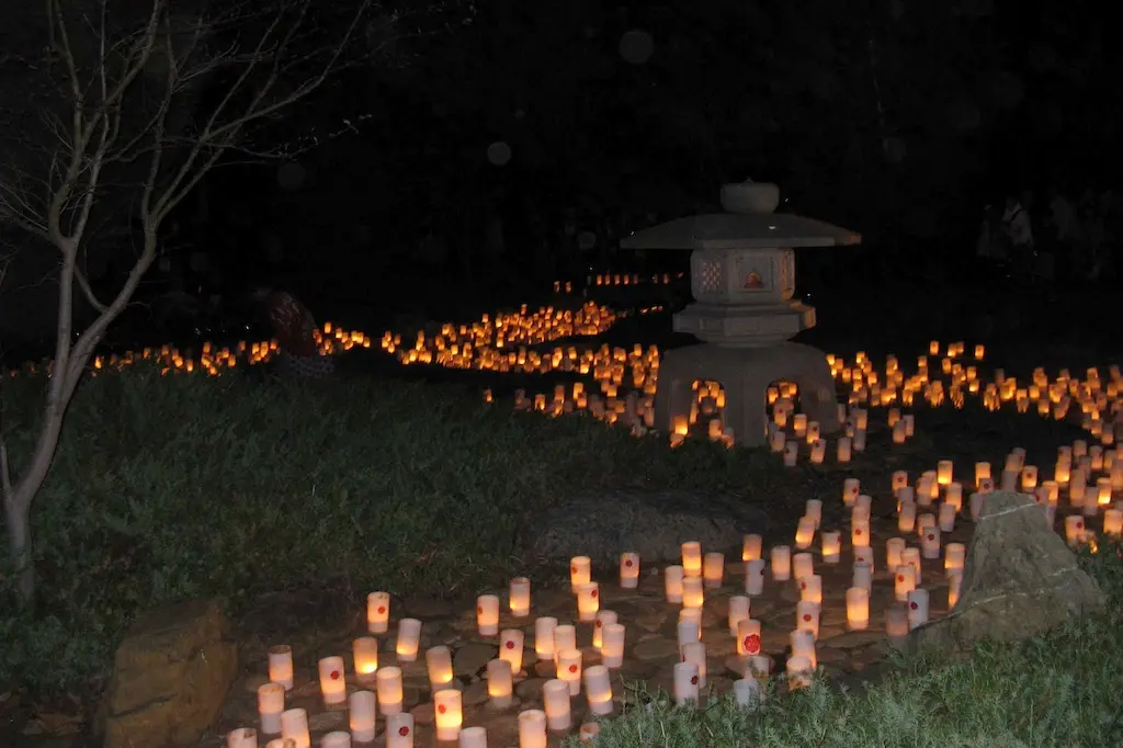 Nara canberra peace festival