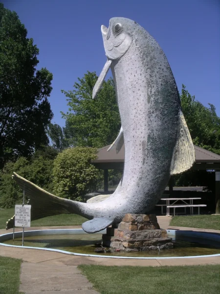 Adaminaby_big_trout