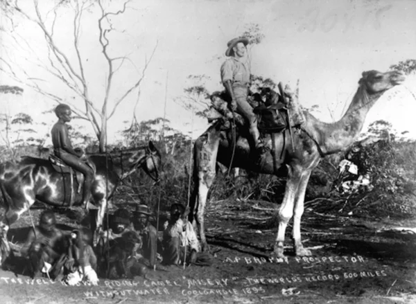 Misery_Coolgardie
